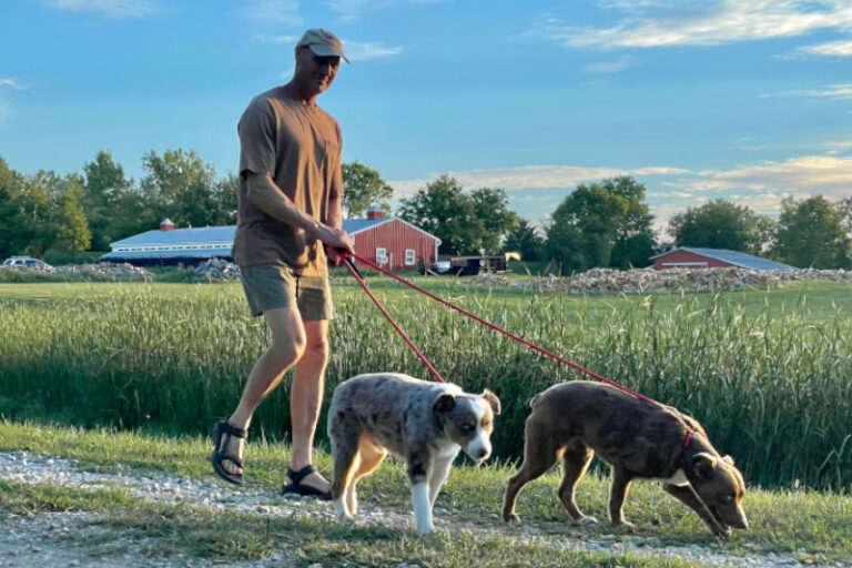 Boarding Happy Tails Dog Boarding and Daycare